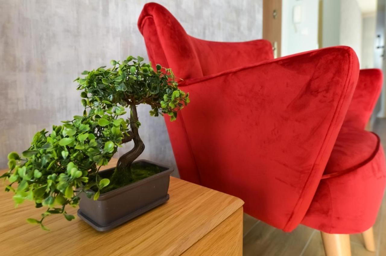 Beskid Apartment ชเจอร์ค ภายนอก รูปภาพ